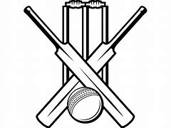 Image result for Cricket Bat Ball and Stumps White and Black