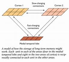 Image result for Consolidating Memory