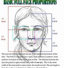 Image result for Basic Face Proportions