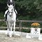 Image result for Dressage Pyramid