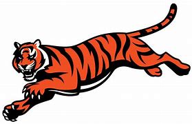Image result for Cincinnati Bengals Old Logo