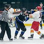 Image result for Hockey Fights Injuries