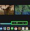 Image result for How Tro Screen Record in PC