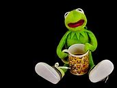 Image result for Kermit Meme Cup of Tea