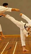 Image result for Fox Doing Martial Arts Art