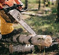 Image result for Echo CS-800P Chainsaw