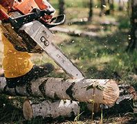 Image result for Longest Chainsaw
