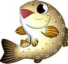 Image result for かわいい魚