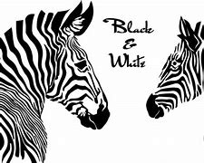 Image result for Black and White Immages Vector