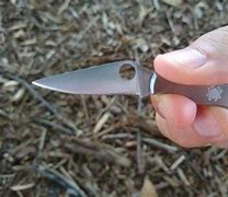 Image result for Smallest Buck Knives