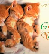 Image result for Cute Good Night Images for November