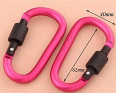 Image result for Carabiner Bungee