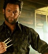 Image result for Wolverine Funny