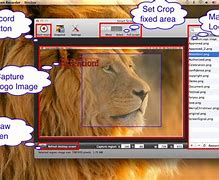 Image result for Screen Recording for PC