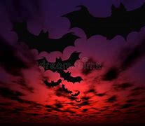 Image result for Bat Flying