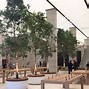 Image result for Apple Store Trees