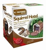 Image result for Squireelhotel iPod App