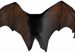 Image result for Bat Wings Cartoon Transparent