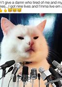 Image result for smudging the cats memes