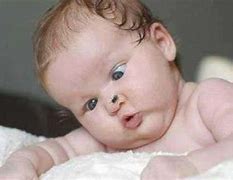 Image result for Funny Baby Videos for Kids