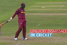 Image result for How to Hit Cricket
