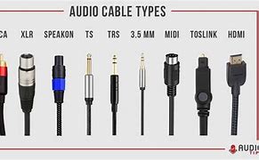 Image result for Speaker Plugs Types