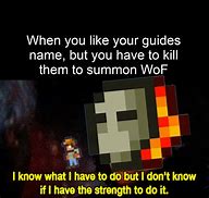 Image result for Calamity Mod Memes