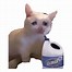 Image result for Sad Cat Drinking Bleach Meme