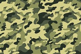 Image result for Camouflage Background Free