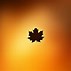 Image result for Autumn Wallpaper 1600X900