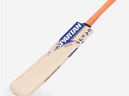 Image result for Spartan Cricket Bat