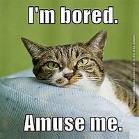 Image result for Memes About Boredom