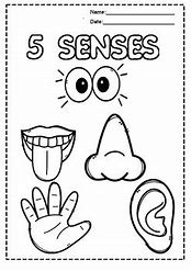 Image result for Kindergarten 5 Senses Book