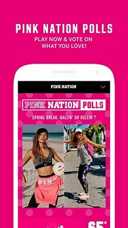 Image result for Pink Nation Gamification