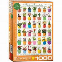 Image result for Loopy Case Cacti