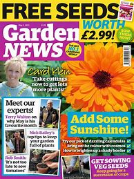 Image result for News Magazines