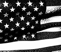 Image result for Black and White American Flag Art