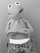 Image result for Funny Kermit Thr Frog Memes