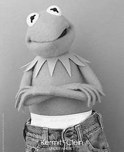 Image result for Kermit the Frog Meme Name