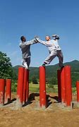 Image result for martial arts styles