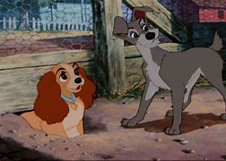 Image result for Lady and the Tramp Love Fanpop