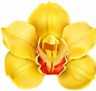 Image result for Acuputure Health Recover Clip Art PNG