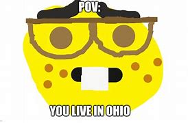 Image result for Why Iohio a Meme
