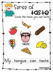 Image result for Sense of Taste Activity Sheets
