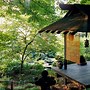 Image result for Japanese Garden with View