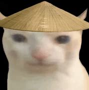 Image result for Cat with Rice Hat Emoji Discord