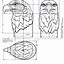 Image result for Free Simple Wood Carving Patterns