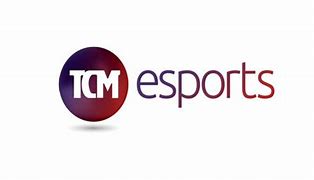 Image result for eSports Fans