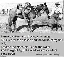 Image result for Cowboy Envirinment Meme