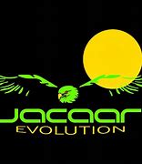 Image result for jaquear